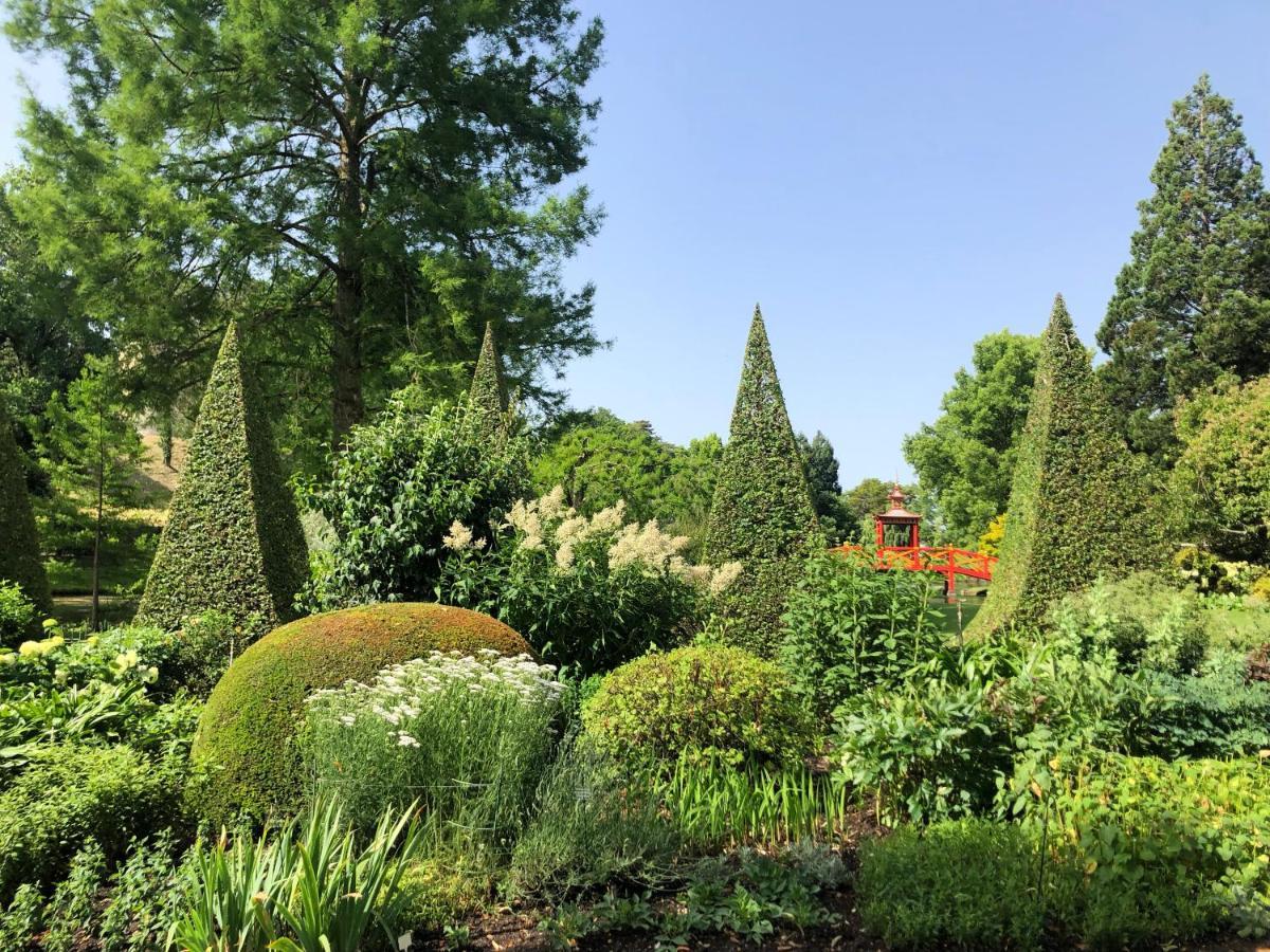 La Maison De La Tour Apremont-sur-Allier Eksteriør billede